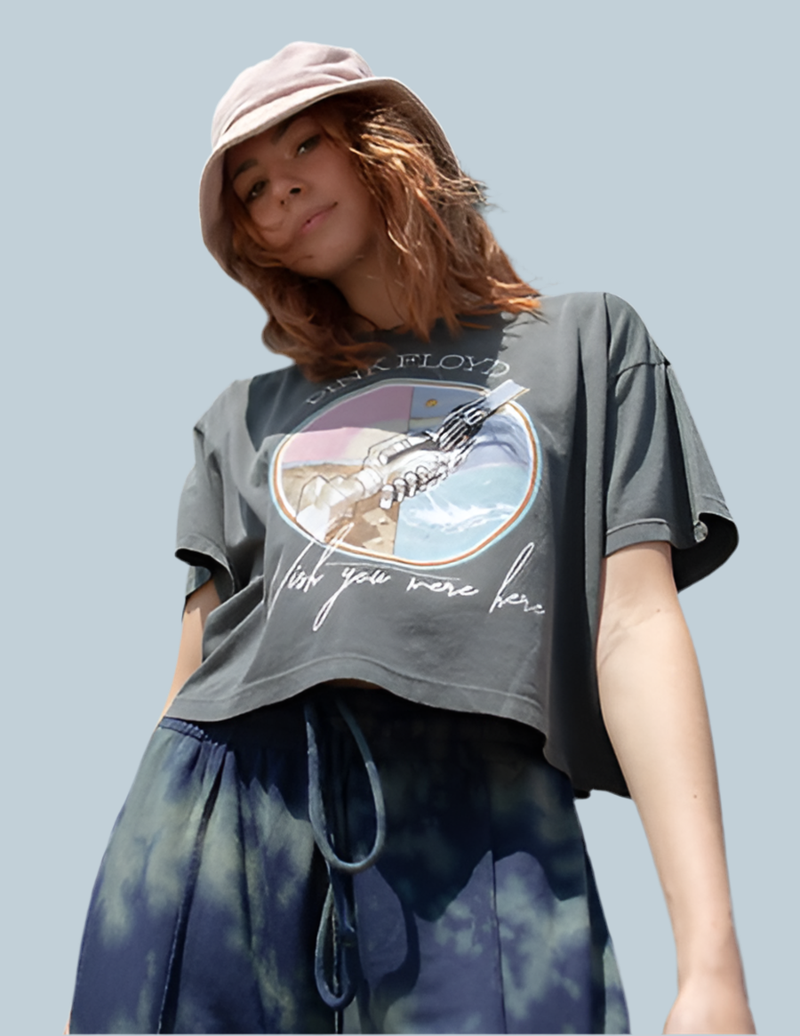 Pink Floyd Wish You Were Here Crop T-Shirt