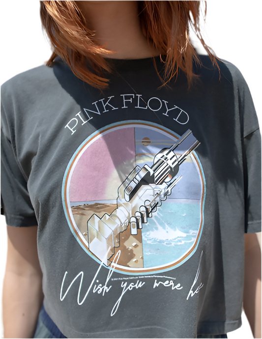 Pink Floyd Wish You Were Here Crop T-Shirt