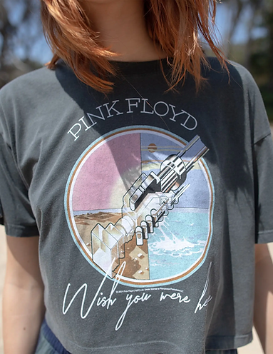 Pink Floyd Wish You Were Here Crop T-Shirt